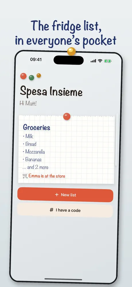 Spesa Insieme screenshot from the App Store