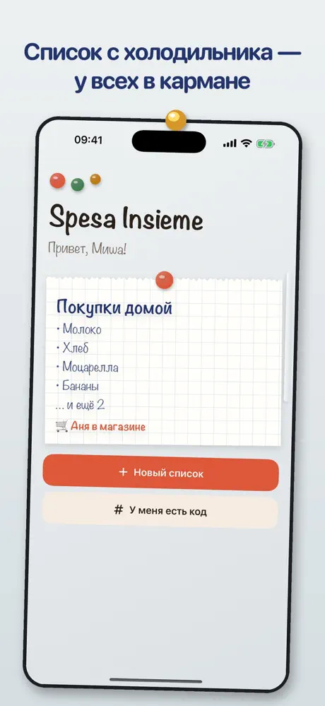 Скриншот Spesa Insieme из App Store